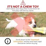 Interactive 2-in-1 Floating Dog Fetch Toy