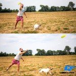 Floating Dog Fetch Toy & Bite Tug Combo