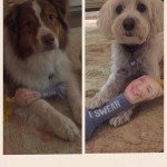 Donald Trump Bite Me Bone Dog Chew Toy