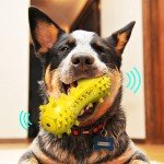 Durable Chew Toys for Aggressive Dog Chewers