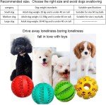 Sunglow 2-Pack Nontoxic Dog Toy Balls