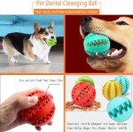 Sunglow 2-Pack Nontoxic Dog Toy Balls