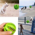 Sunglow 2-Pack Nontoxic Dog Toy Balls