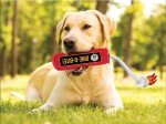 Boston Bruins Tough Squeaky Dog Toy
