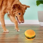 Squeaky Hamburger Dog Chew Toy - Bite-Resistant