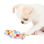 2-Pack Interactive Chew Toys for Puppies