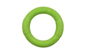 Interactive Floating Dog Training Disk Toy