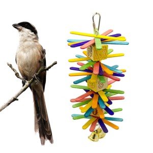 Parrot Wood Toys for Small and African Grey