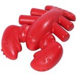 Indestructible Chew Toys for Aggressive Dogs