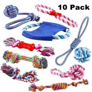 10-Pack Healthy Dog Chew Toys for Teeth Cleaning
