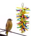 Parrot Wood Toys for Small and African Grey