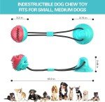 Interactive Dog Toys for Aggressive Chewers