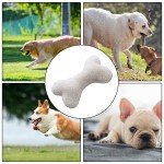 Durable Squeaky Bone Teething Toy for Dogs