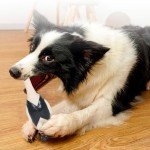 Squeaky Rubber Dog Bite Toy for Chewing