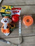 Wildlife Bite Force & Kong Squeaker Dog Toys