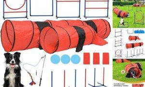 Dog Agility Kit: Flirt Pole, Discs, Tunnels