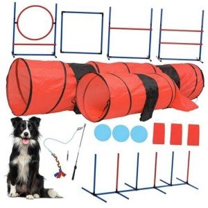 Dog Agility Kit: Flirt Pole, Discs, Tunnels