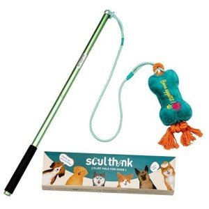 Interactive Dog Flirt Pole - Agility Training Toy