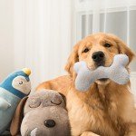 Durable Squeaky Bone Teething Toy for Dogs