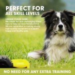 Interactive Dog Agility Toys for All Sizes