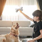 Durable Squeaky Bone Teething Toy for Dogs