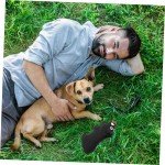 Pig Squeaky Toy for Dogs and Puppies