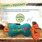 Interactive Dog Flirt Pole - Agility Training Toy