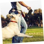 Pig Squeaky Toy for Dogs and Puppies