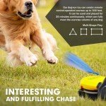 Interactive Dog Agility Toys for All Sizes