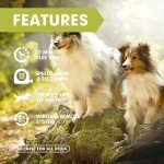 Interactive Dog Agility Toys for All Sizes