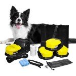 Interactive Dog Agility Toys for All Sizes