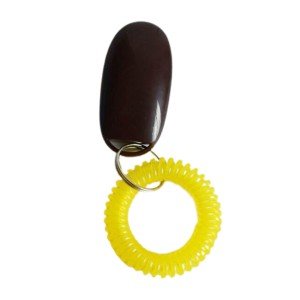 Ultrasonic Clicker Training Tool for Dogs