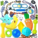 23 Colorful Interactive Toys for Small Dogs