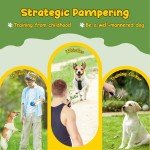 23 Colorful Interactive Toys for Small Dogs