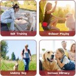 5 Pack Dog Training Set with Treat Pouch & Toys