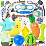 Vibrant 22 Pack Puppy Teething Chew Toys