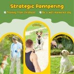 Vibrant 22 Pack Puppy Teething Chew Toys