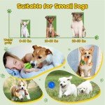 Vibrant 22 Pack Puppy Teething Chew Toys