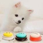 Light Blue Dog Training Clicker with Voice Recorder