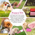 65-Piece Small Dog Supplies Starter Kit