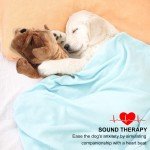 Heartbeat Toy for Puppy Anxiety and Training