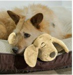 Puppy Huggie Toy for Crate Training Support