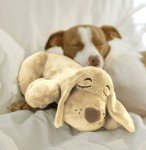 Huggie Pup Cuddly Toy for Puppy Training