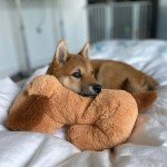 Heartfelt Snuggle Puppy Toy for Dog Anxiety Relief