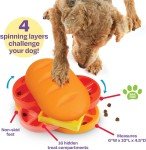 Pupstrami Surprise! Interactive Dog Puzzle Toy