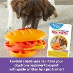 Pupstrami Surprise! Interactive Dog Puzzle Toy