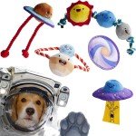 5-Pack Durable Squeaky Plush Dog Chew Toys