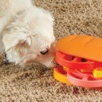 Pupstrami Surprise! Interactive Dog Puzzle Toy