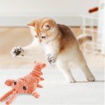 Floppy Lobster Interactive Jumping Dog Toy