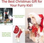 Indestructible Dog Toys for Aggressive Chewers